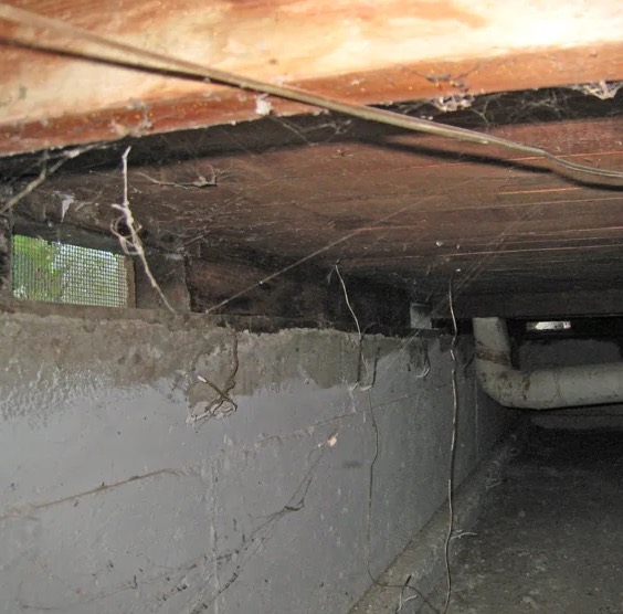 Crawl Space Water Damage Repair in Ashburn, VA