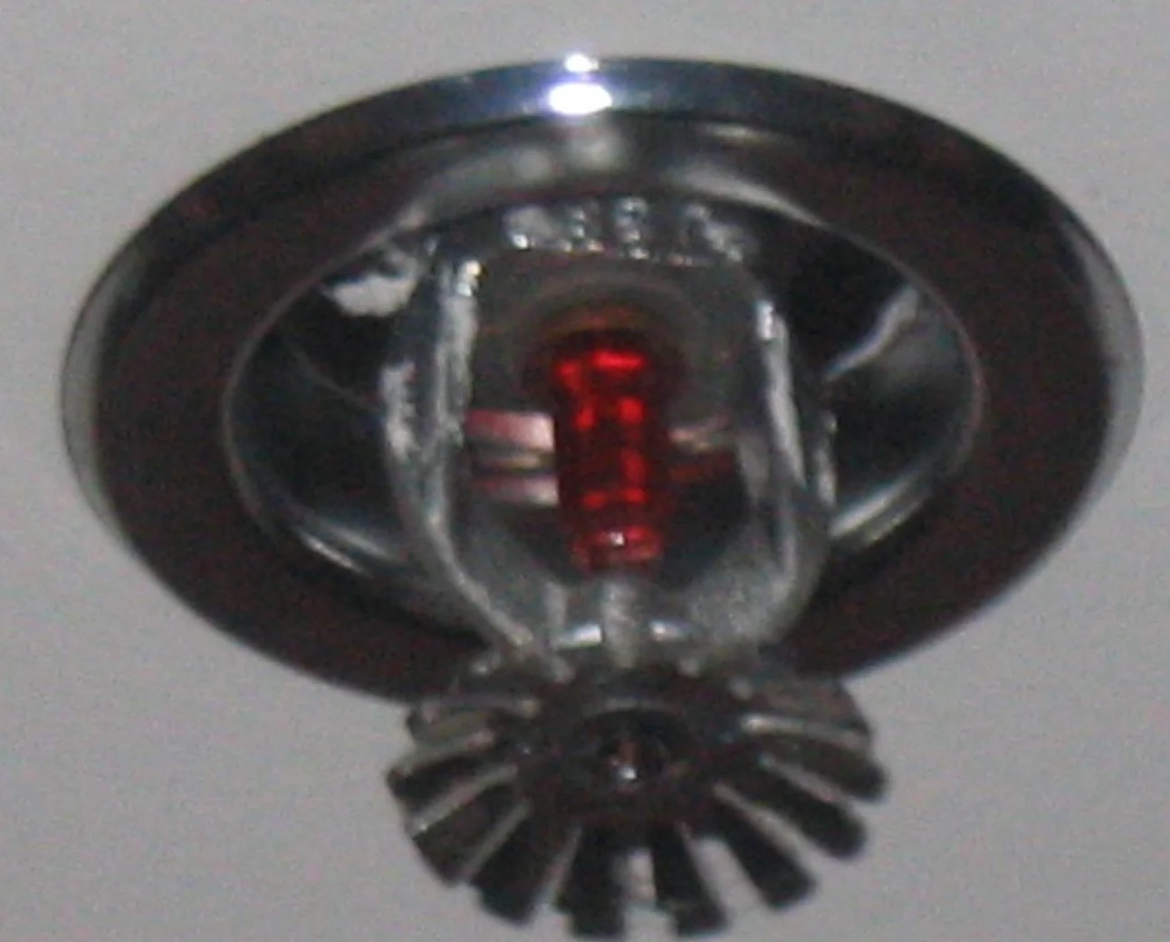 Fire Sprinkler Discharge Water Removal in Bull Run, VA