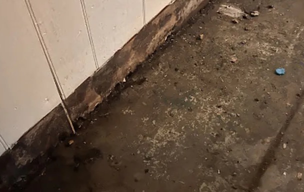 Toilet Overflow Water Removal in Cascades, VA