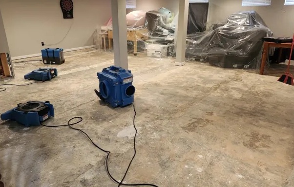 Deodorization Services in Arlington, VA