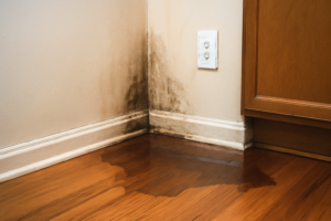 Water Leak Detection